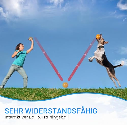 PETTOM Hundeball Quietschend Strapazierfähig, 3 Stücke Hundespielzeug Ball