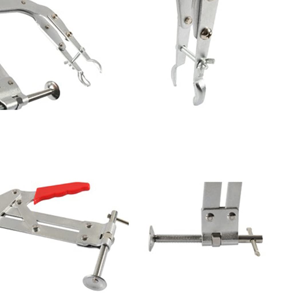 Pince de compression professionnelle de 20,3 cm pour les amateurs de voiture, entretien de véhicule automobile, réparation