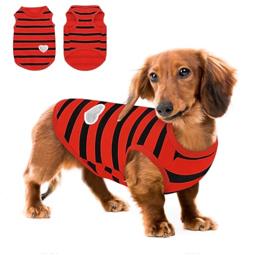 Queenmore Medium Dog Shirt,Soft Breathable Dog Shirt for Dogs Cats Boy Girl,Pet Clothes for All Season,Breathable Lightweight Pet Tshirt for Frenchie, Dachshund, Yorkie