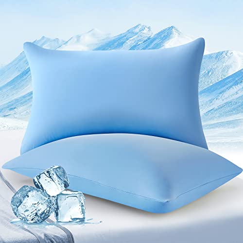 Elegear Ari-Chill 2 Pezzi Federe in Fibra di Seta