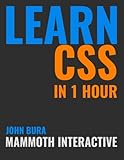  Learn CSS in 1 Hour