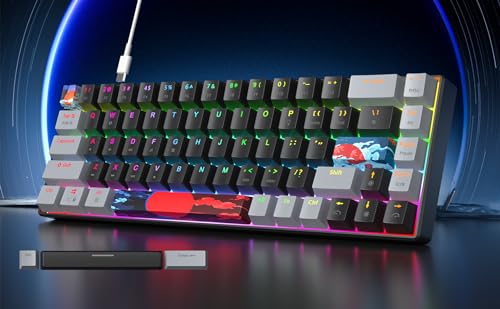Image of 65% Mechanical Keyboard 68-Key Wired Gaming Keyboard with Red Switch RGB Lighting Effect PBT Keycaps Ultra-Compact Mini Keyboard Suitable for Win /Mac(68 Dark)