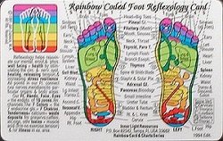 Inner Light Resources Rainbow Cards & Charts Series - Foot Reflexology (rainbw Coded) - Original Rainbow Series Wallet Cards