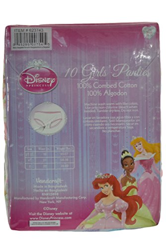 Disney Princess 10 Girls Panties Handcraft (2T-3T)2
