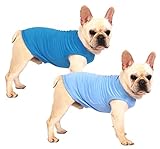 Sychien Dog Blank Blue Shirt,Boy Girl Dogs Medium Tee Shirts,Plain French Bulldog T-Shirt,M Blue Roy