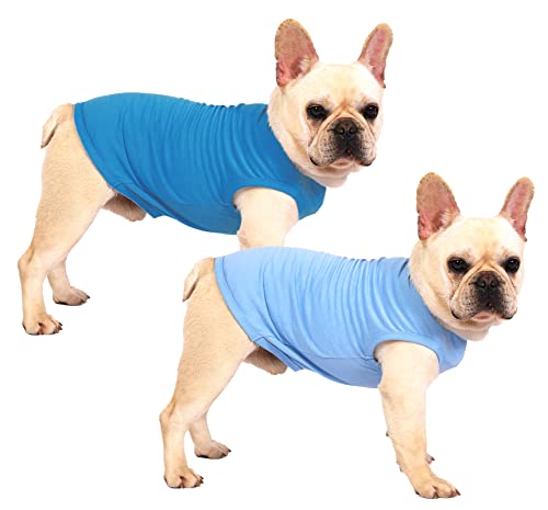Sychien Dog Blank Blue Shirt,Boy Girl Dogs Medium Tee Shirts,Plain French Bulldog T-Shirt,M Blue Royal #TOP20