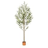 6FT Artificial Olive Tree Indoor Tall Realistic Faux Olive Tree with Plastic Planter, Fake Silk Tree with Handcrafted Branches & Fruits, Large Fake Plant for Home and Office Decor (6FT)