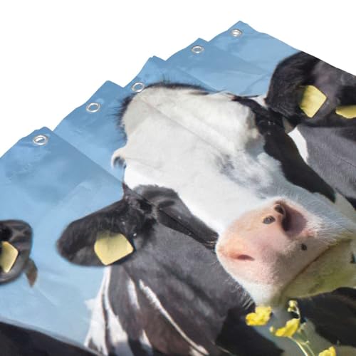 Rideau de douche polyester vaches noires et blanches 183x183cm