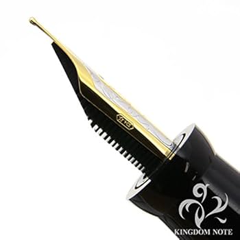 Amazon | 【中古】 DELTA デルタ 万年筆 ルグドナム M | 万年筆