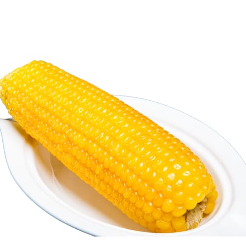 Iׂ 퉷ۑSʕ y Sʕ Sʕ Sʕ ʔSʕ z uʕ (1{) ʕ 䚕 Ƃ낱 ^pbNR[ Ƃ낱 gERV LV[R[ Ƃ낱 ʕ ʕ ʕ (20{, ȉo_j