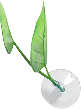 Sosoport Spawning Leaves Betafish Hammock Aquarium Stone Pool Pouring Mat Aquarium Heater Aquarium Decor Betta Leaves Silk Plants Aquarium Feeder Gravel Vacuum Aquarium Driftwood Artificial Net PVC