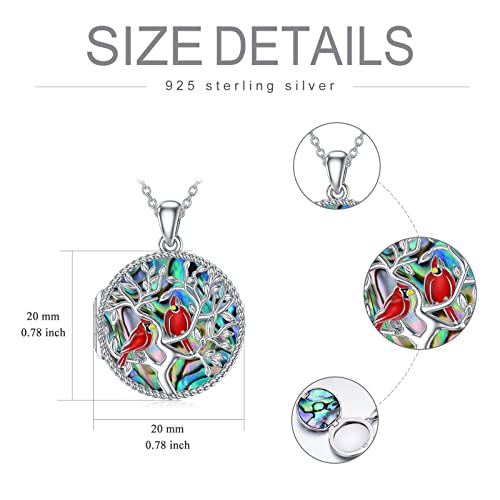 Iiw Red Cardinal Necklace/Urn Ashes Northern Cardinal Gift For Women Audubon Birds 925 Sterling Silver Jewelry For Women (Cardinal Abalone Shell Locket) #TOP2