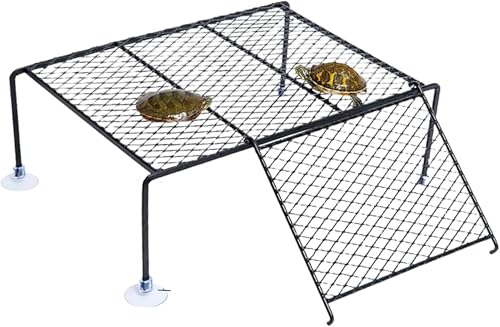 T̓o J̓vbg J̐n T  S T̓Ȃڂ ঒ zՃfUC   ^[gvbgtH[ n o  JV TpeX ʒuRɒł (L)