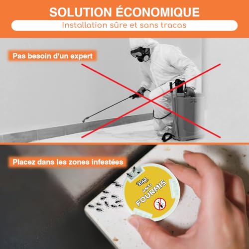 ATAQ - Lot de 4 Boîtes Appât 10g Gel Anti Fourmis Puissant - Insecticide - Éradicateur Efficace - fourmilière - Élimine les Fourmis – Formule professionnelle - résultat rapide - barrage aux insectes – vue 5
