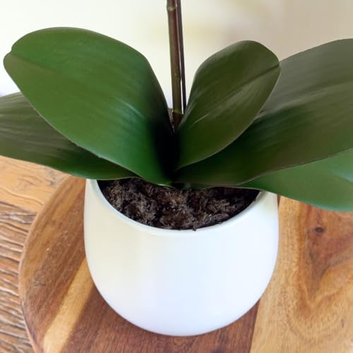 Orchidée artificielle violette double tige pot céramique blanche - 4