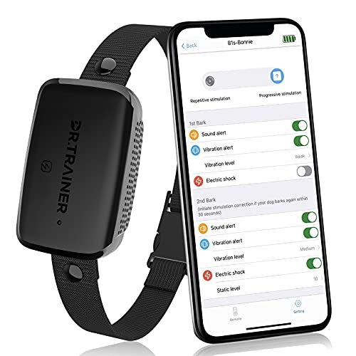 bark and shock collar