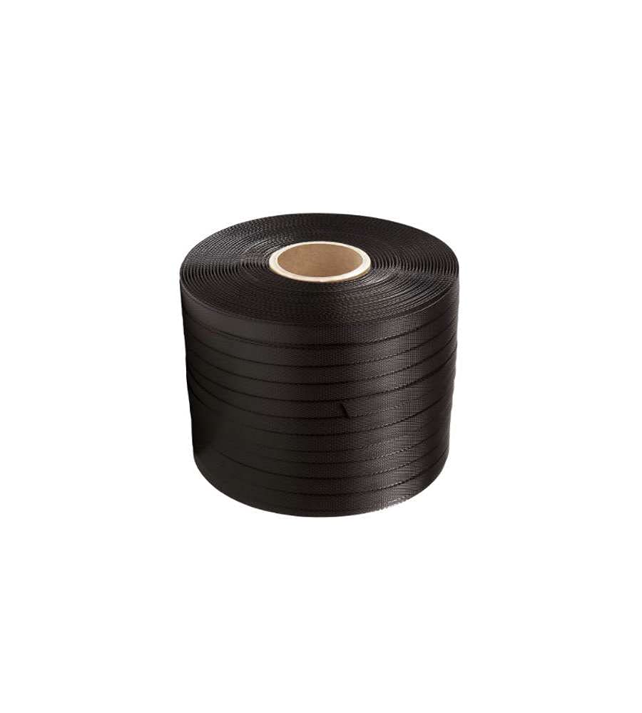 Reggetta in plastica Mestri 15x0,5 f. 60 nera (m 800) [MAESTRI]