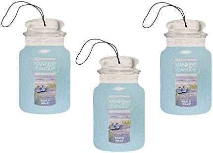 3pc Classic Paper Car Jar Hanging Odor Neutralizing Air Freshener, Beach Walk