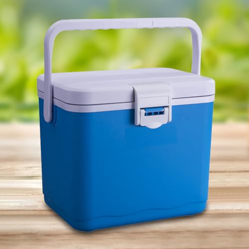 Fiorky Camping Fridge,4.5L Insulated Portable Cooler with Handle Camping Car Refrigerator Heat Preservation Barbecue Insulation Box for Beach Picnic Campervan,Lorry,Boat,travel, and Home Use
