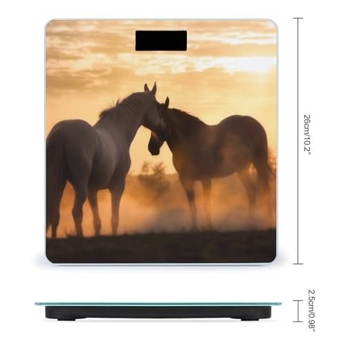 Báscula digital para baño con vidrio templado y pantalla LCD miniatura 2