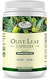 Olive Leaf Capsules - 550 mg Vegetable Capsules - Pure Organic Olive Leaf Powder with No Fillers - Immune Support Antioxidant Supplement (1000)