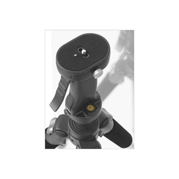 DynaSun wt666 Professional Stativ Heavy Duty/wt010h Head Kit mit 3-Wege-System/wt011h Action Ball für Kamera und Video – Bild 8