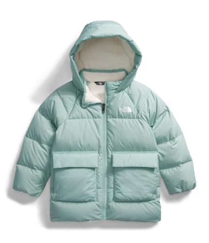 Image of THE NORTH FACE unisex-baby North Down Fleece-lined Parka