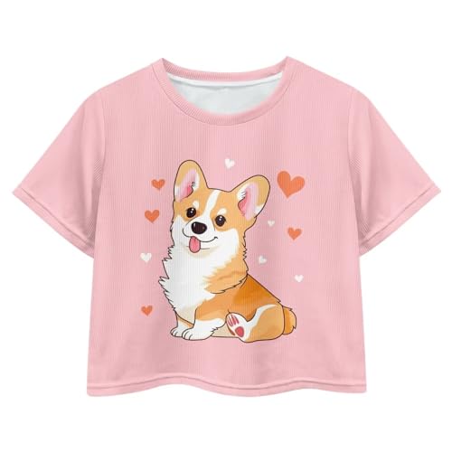 Image of Girls Summer Crop Top Outfits Short Sleeve T Shirts Kids Cute Clothes Tees Blouse
