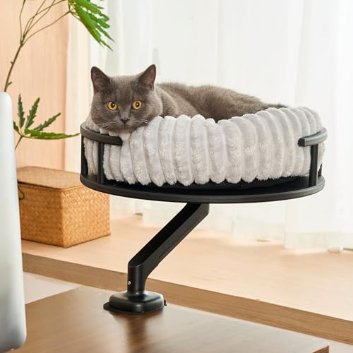 noviclass® Katzenbett LEVI | Katzenbett Schreibtisch | Katzenplattform | Für Tische und Fenstersims | Inkl. 2 Betten | Cord-Design Grau | Robust und...