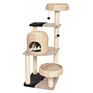 MidWest Homes for Pets Cat Tree | Biscayne Cat Furniture, 5-Tier Cat Tree w/Sisal Wrapped Support Scratching Posts & High Cat Look-Out Perch, Woven Rattan & Script, Large Cat Tree