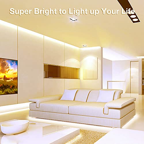 Image of DAYBETTER COB LED Strip, 16.4 ft Warm White LED Strip Lights, Dimmable LED Light Strip 3000K, 24V, 1600LEDs, 2835 Flexible LED Lights for Bedroom, TV, Kitchen Cabinet, Closet