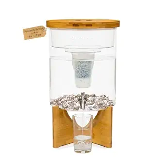 Santevia Glass Water Filtration System – Countertop Filter for Fluoride & Chlorine Removal | Adds Minerals, Balances pH | Home Water Purifier | Fluoride Filter | Alkaline