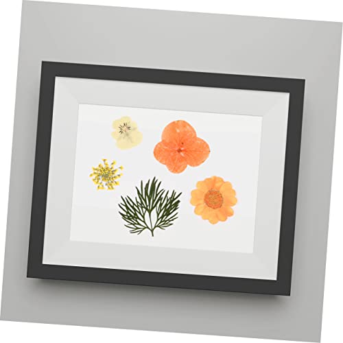 40 Adhesivos de Flores Secas para Manualidades miniatura 4
