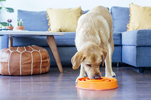 Outward Hound Fun Feeder Slo Bowl, Slow Feeder Dog Bowl, Large/Regular, Orange #TOP5