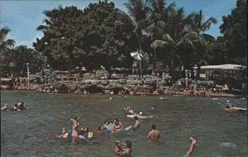 Venetian Pool Coral Gables Florida Vintage Postcard