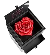 Amazon｜アモローサ モデルノ AMOROSA MODERNO プリザーブドフラワー