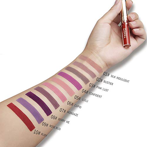 Matte Nude Lipstick Set, Christmas Gift Box, 10 Colors Waterproof Long Lasting Lip Gloss Non-Stick Cup Liquid Velvety Lipstick Set (10-1) #TOP1