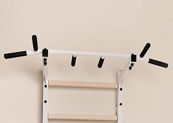 222W Wallbars, Stall Bars, Swedish Ladder, Gymnastic Ladder with Fixed Steel 6-Grip Pull Up Bar, Chin Up Bar, Upper Body Workout Bar, Dip Bar, Dip Station with Polyurethane Back Support