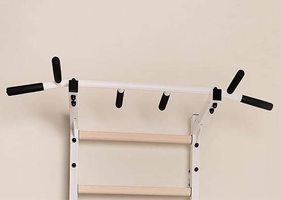 222W Wallbars, Stall Bars, Swedish Ladder, Gymnastic Ladder with Fixed Steel 6-Grip Pull Up Bar, Chin Up Bar, Upper Body Workout Bar, Dip Bar, Dip Station with Polyurethane Back Support