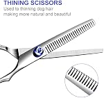 Kit de ciseaux pour chiens professionnels 6 en 1 Ciseaux de chien enduits de titane pour le grooming Kit de ciseaux pour chien Chat Grooming à la maison