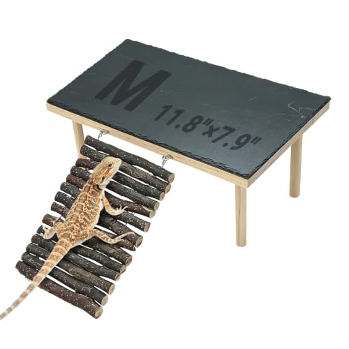 BNOSDM Basking Rock Platform with Climbing Ramp Reptiles Hideout Bearded Dragon Hide Cave Reptile Tank Accessories Suit for Tortoise, Lizard, Toad, Gecko (Large)