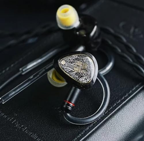Image of TANGZU Wan'er S.G II in Ear Monitor, Gaming IEM Earphones, HiFi Wired Earphones with 10mm Single Dynamic Driver PET Diaphragm, 0.78mm 2-Pin Tangle-Free Detachable Cable (Black, Type C with Mic)