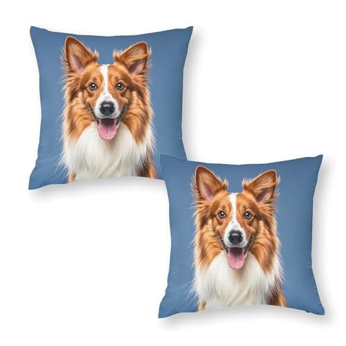 RKJVB �N�b�V�����J�o�[ 2���Z�b�g 30.54cmx30.54cm ���킢���R���[ �� ���J�o�[ ���������`���J�o�[ �\�t�g ���K �N�b�V�����P�[�X �\�t�@/�x�b�h/�Q��/���r���O���[��/�I�t�B�X�p
