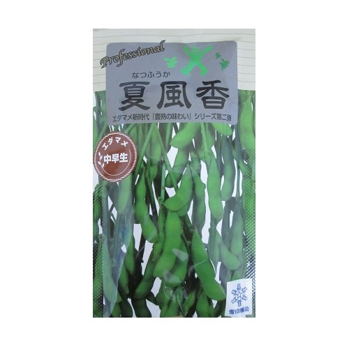 Amazon | 夏風香エダマメ 登録品種 雪印種苗の枝豆品種 | 野菜