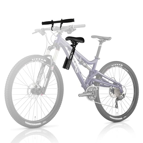 EVER GOODS - Asiento Infantil Compatible con Toda Bicicleta de montaña. Asiento Bicicleta niño de 2 a 6 años (hasta 21kg), Silla Bicicleta niño Delantera y Manillar de rápida instalación.