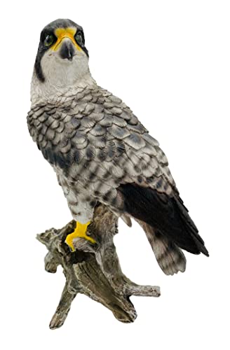 G&H Decor Peregrine Falcon 26cm Resin Statue - Amazing Detail British Falcon - Weather Resistant Bird Ornament