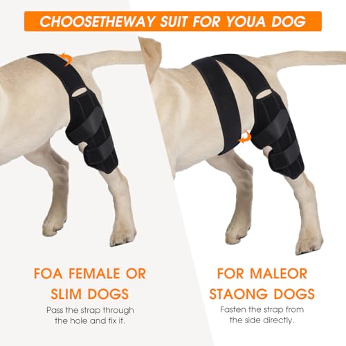 Image of Dog Knee Brace,Adjustable Dogs Rear Leg Braces for ACL with Cruciate Ligament Injury,Reduces Joint Pain and Muscle Sore Inflammation. (S)