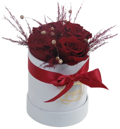Beyond Flowerbox, Rosenbox, 4 Echte Infinity Rosen, Blumenbox, Bis 3 Jahre Haltbar, Handgefertigt, Rund, Weiße Box mit Konservierten Rosen und Pampasgras, Rot, ohne Text - Image 3