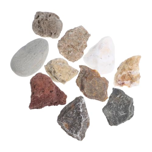 Ciieeo Geologie mit Vielfältiger Mineraliensammlung Beschrifteten Gesteinsproben Interaktivem Lernkit für Schulklassen Labor und Wissenschaftsunterricht Inklusive Ausführlichem
