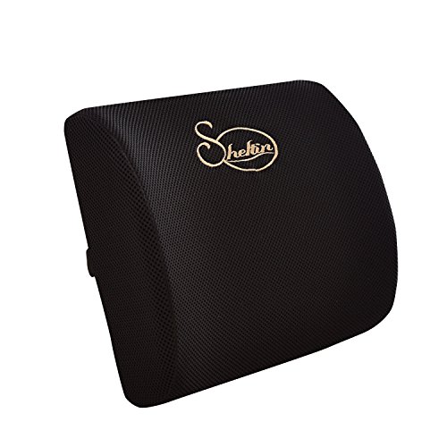 Sheltin Memory Foam Lumbar Support Back Pillow with 3D Breathable Mesh for Ease Lower Back Pain - Office Chair and Car Seat Back Cushion - Black